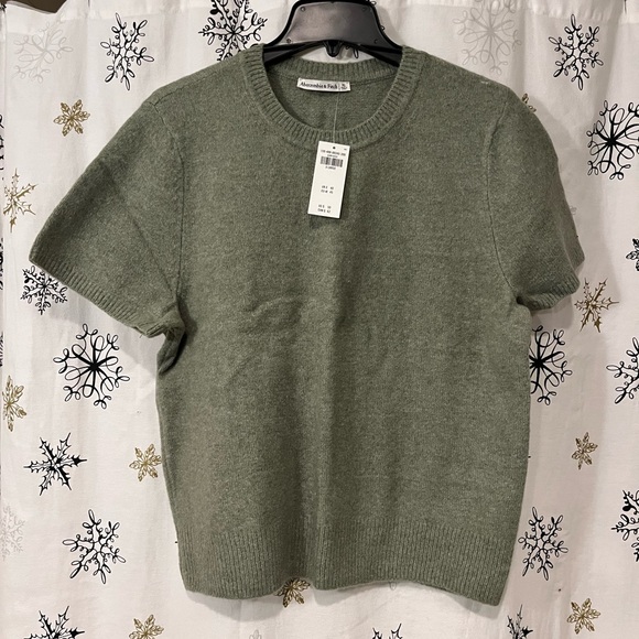 NWT Abercrombie & Fitch Crew Sweater Tee in green - Picture 2 of 6